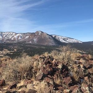 Meet your Posher, Skylar